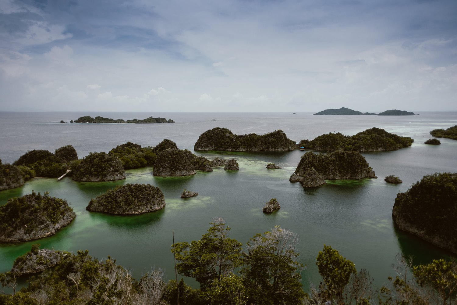 Raja Ampat, one of the most remote places in the world with the most diversity of underwater wildlife anywhere.