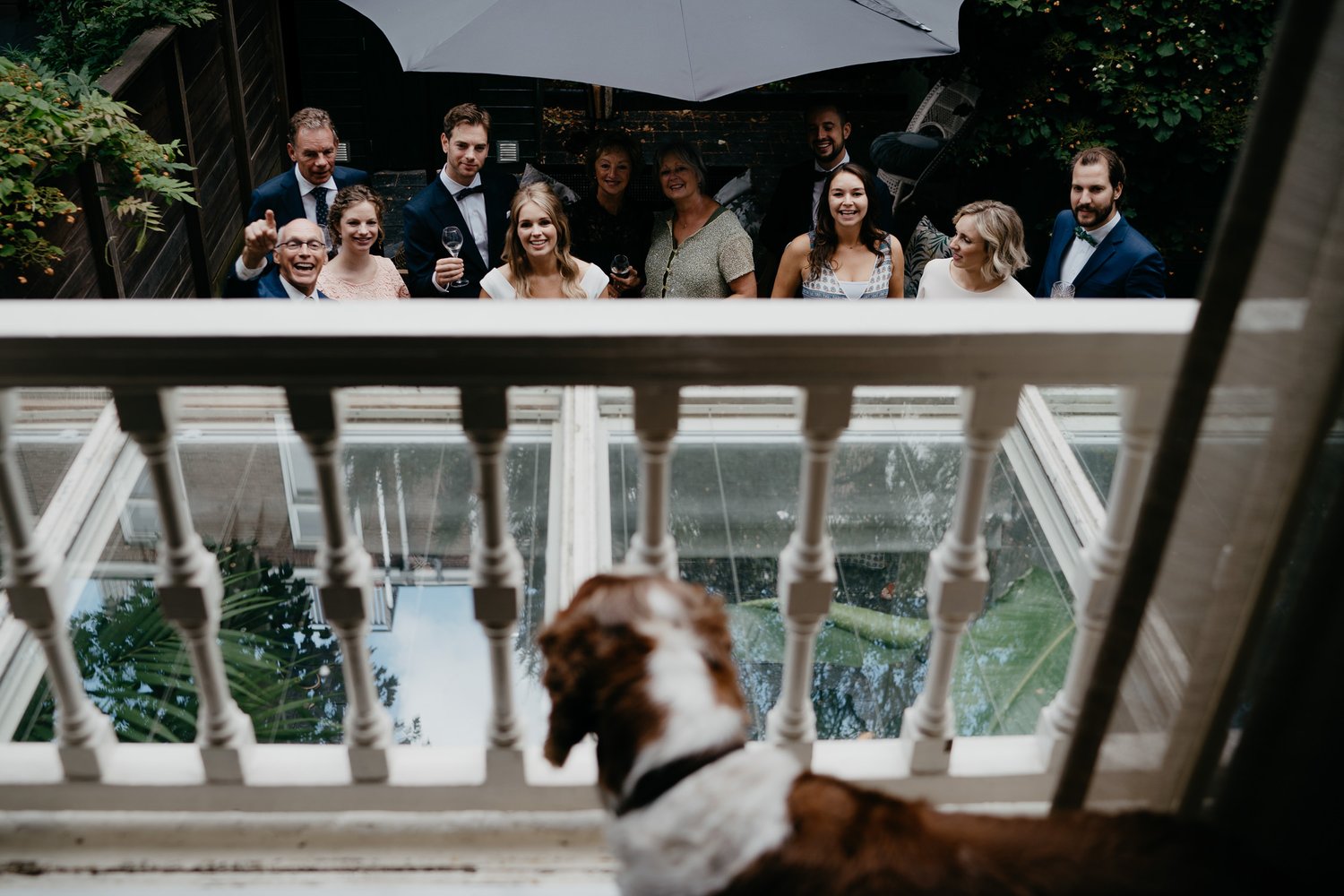 dog at wedding reception wedding photography amsterdam 