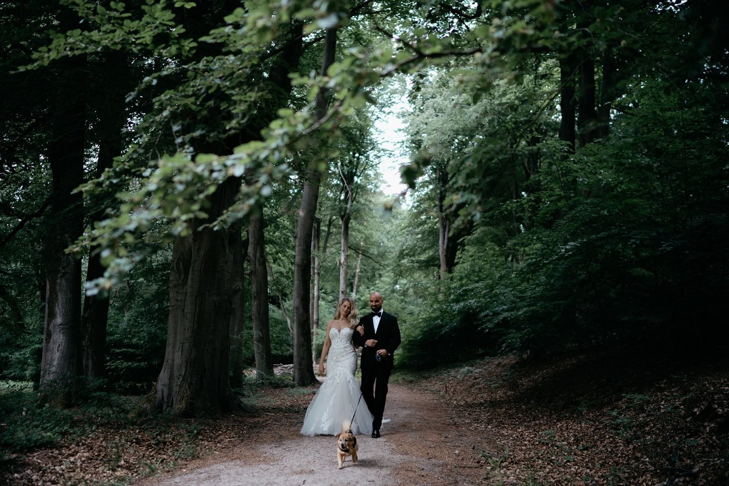 Michelle Jethro-186 - newlyweds walking with dog in amsterdam forest.jpg